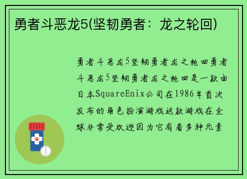 勇者斗恶龙5(坚韧勇者：龙之轮回)